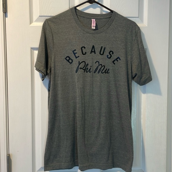 Phi Mu Sorority size L gray tshirt - Picture 1 of 4